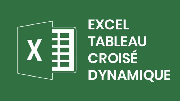 Excel base de données et Tableaux croisés dynamiques